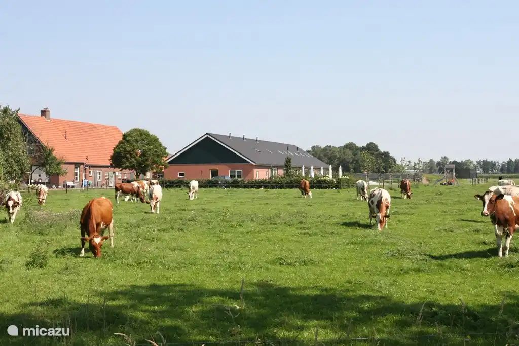Guest house 522448 - Holiday property Twente - Boerderijappartement De Kastanje