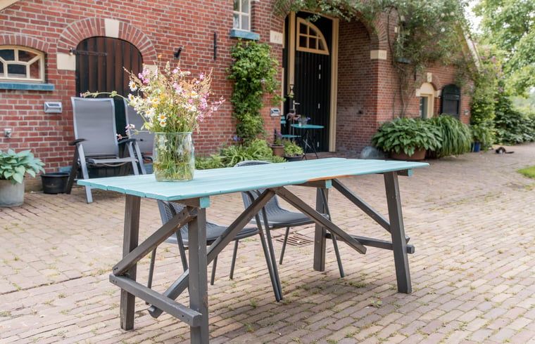 Buitenruimte van vakantiehuisje in Diepenheim met rustieke tafel en bloemen.