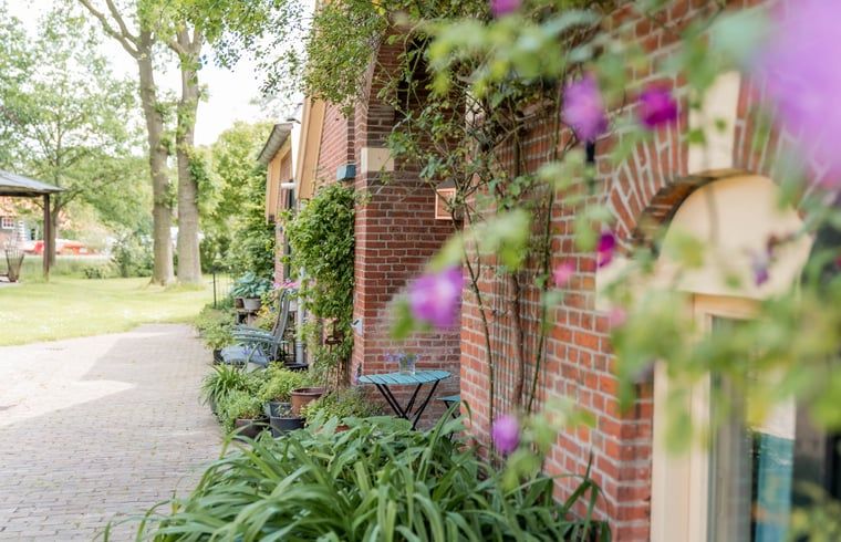 Sfeervol terras bij vakantiehuisje in Diepenheim, ideaal voor ontspanning.