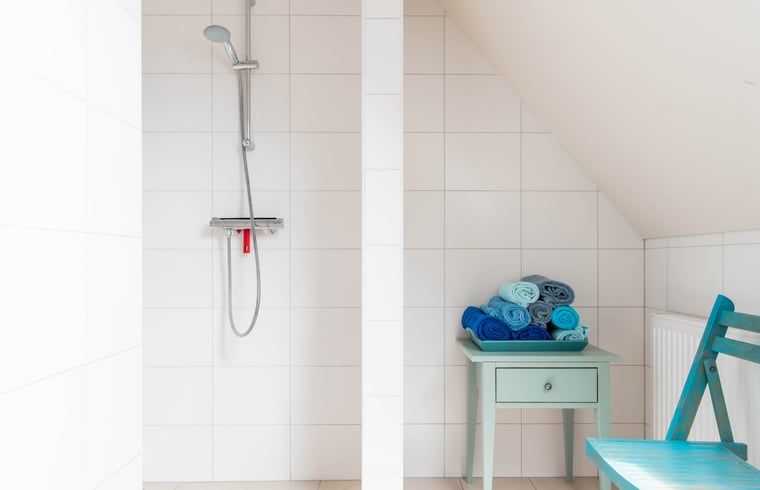 Ruime douche in vakantiehuisje in Diepenheim, ideaal voor ontspanning.