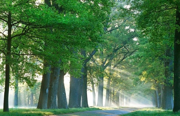 Unterkunft 522520 - Ferienhaus Twente - Huisje in Diepenheim