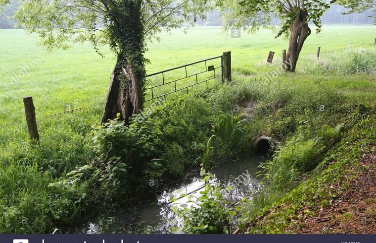 Unterkunft 522520 - Ferienhaus Twente - Huisje in Diepenheim