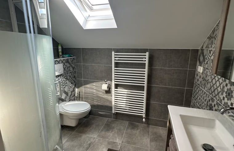 Bathroom with skylight in Holiday home in Enschede, bright and modern.