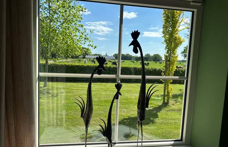 View from the window of Holiday home in Enschede, nature and tranquility.