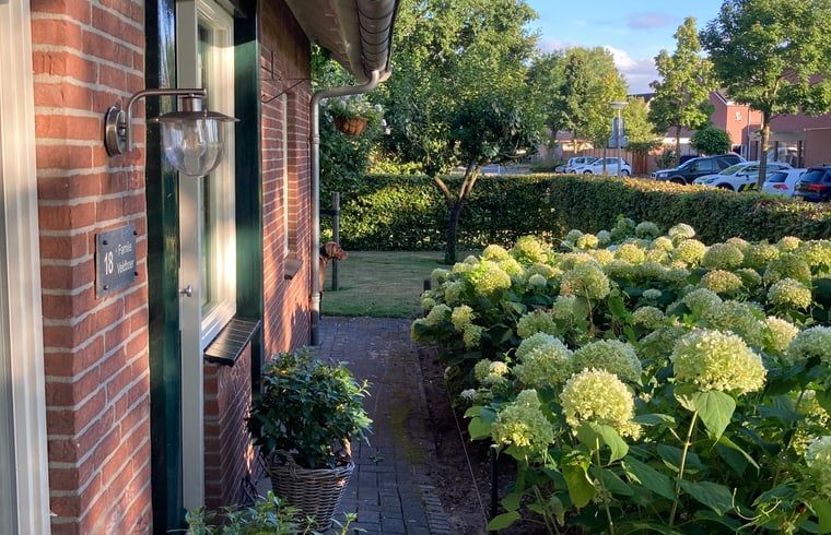 Gezellige zijtuin van Vakantiehuis in Oldenzaal, Twente, met bloeiende hortensia's en een uitnodigend pad.