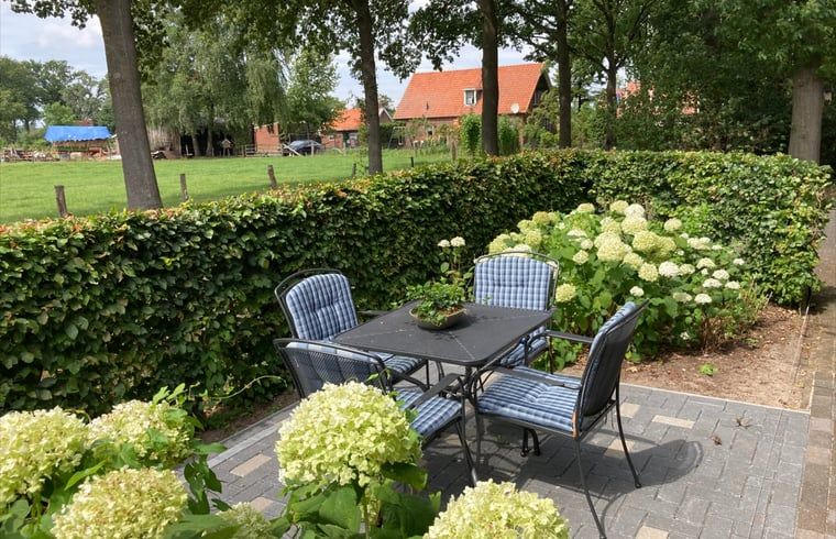 Uitzicht op het groene landschap vanaf het terras van Vakantiehuis in Oldenzaal, een bed and breakfast in Twente.