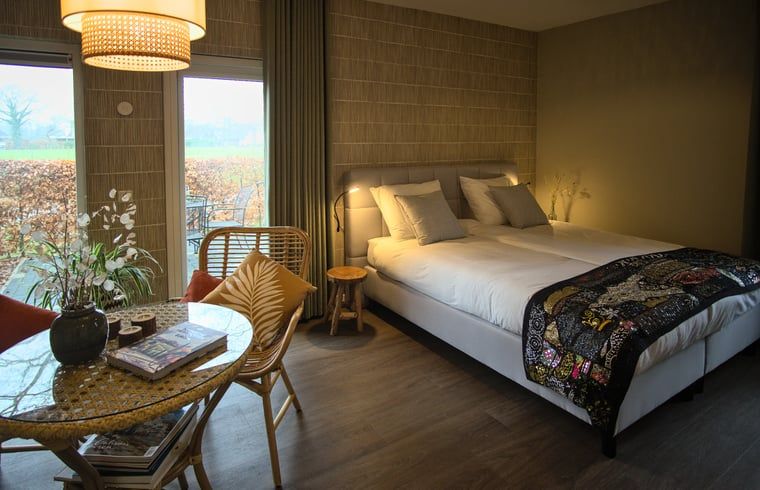 Knusse zithoek in Vakantiehuis in Oldenzaal, Twente, met uitzicht op de groene omgeving en veel natuurlijk licht.