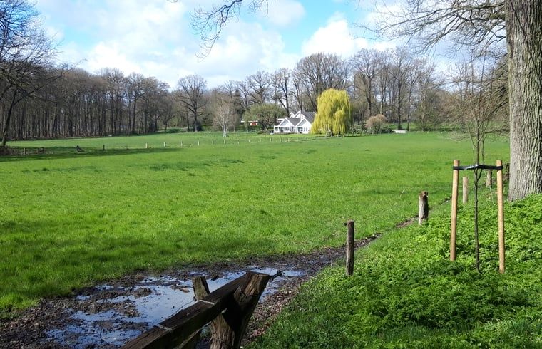 Blick auf die weiten Grasflaechen rund um das Ferienhaus in Oldenzaal, Twente, Overijssel.