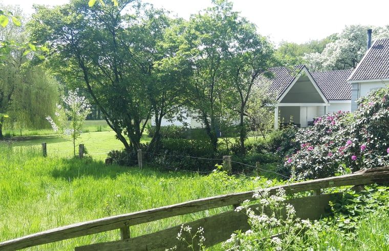 Gruene Umgebung von Cottage in Oldenzaal, Ferienhaus in Twente, ideal fuer Naturliebhaber.