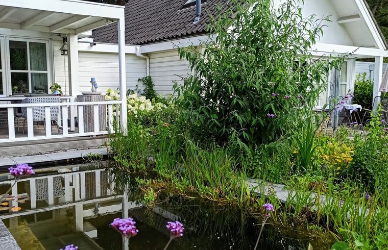 Ruhiger Teich im Ferienhaus in Oldenzaal, Ferienhaus in Twente, umgeben von Natur.