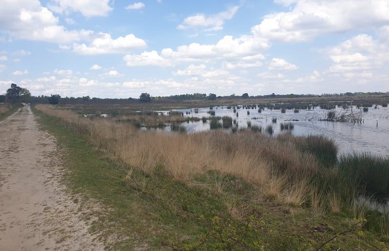 Prachtig uitzicht op natuurlijke omgeving nabij Huisje in Westerhaar-Vriezenveensewijk, Twente, met serene wateren en grasland.