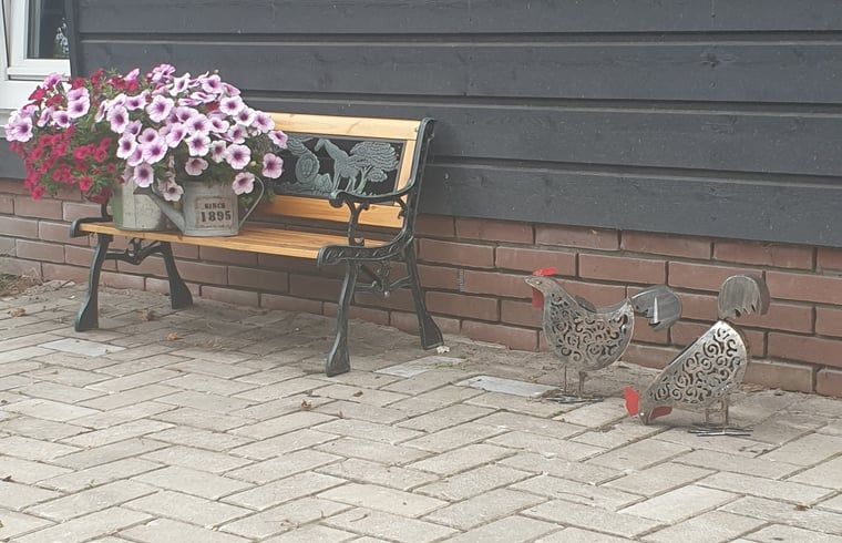 Decoratieve bank en bloemen bij Huisje in Westerhaar-Vriezenveensewijk, Twente, creeren een uitnodigende buitenomgeving.