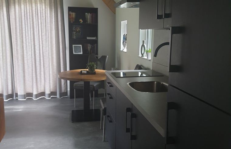 Compacte en functionele keuken in Huisje in Westerhaar-Vriezenveensewijk, Twente, Overijssel, met moderne apparatuur.