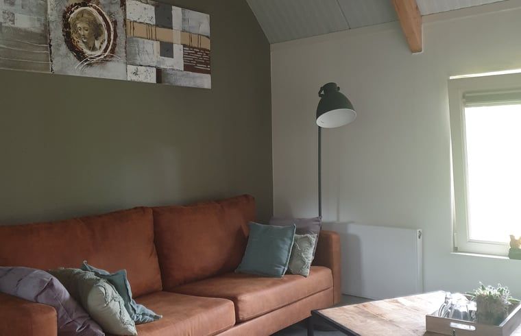 Comfortabele woonkamer in Huisje in Westerhaar-Vriezenveensewijk, Twente, met stijlvolle inrichting en gezellige sfeer.
