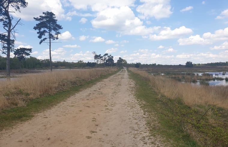 Lange wandelpaden in de buurt van Huisje in Westerhaar-Vriezenveensewijk, Twente, ideaal voor natuurwandelingen.