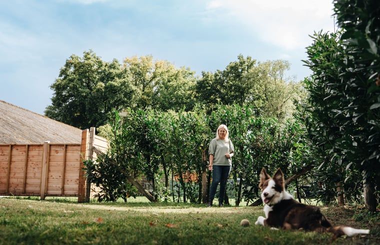 Verblijf 522906 - Vakantiewoning Twente - Huisje in Markelo