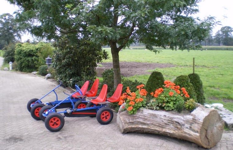 Unterkunft 522920 - Ferienhaus Twente - Vakantiehuisje in Markelo