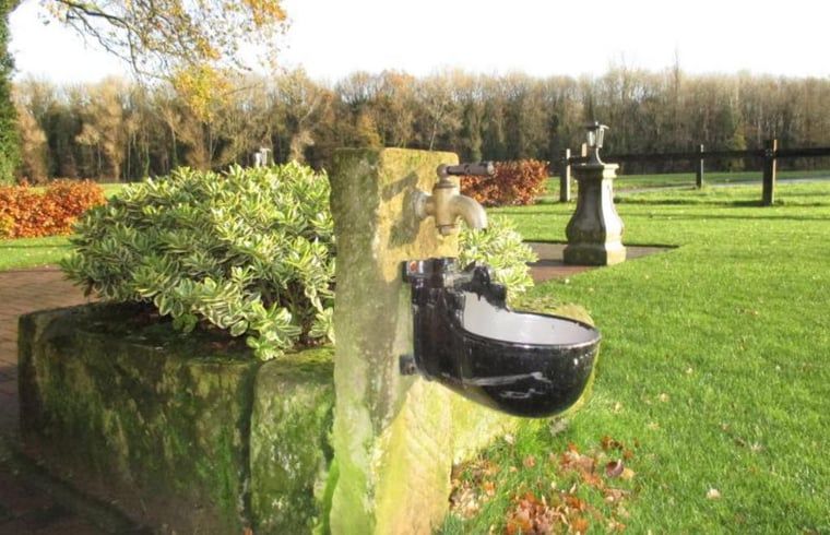 Unterkunft 522920 - Ferienhaus Twente - Vakantiehuisje in Markelo