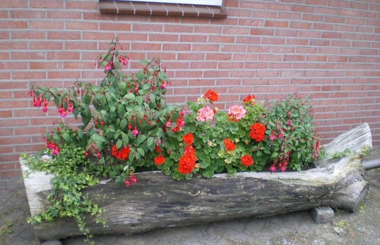 Unterkunft 522920 - Ferienhaus Twente - Vakantiehuisje in Markelo