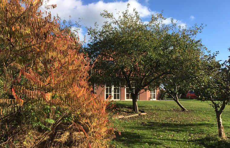 Unterkunft 522923 - Ferienhaus Twente - Vakantiehuis in Twente, Markelo