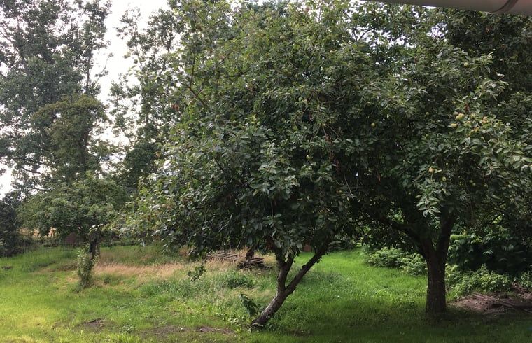 Unterkunft 522923 - Ferienhaus Twente - Vakantiehuis in Twente, Markelo