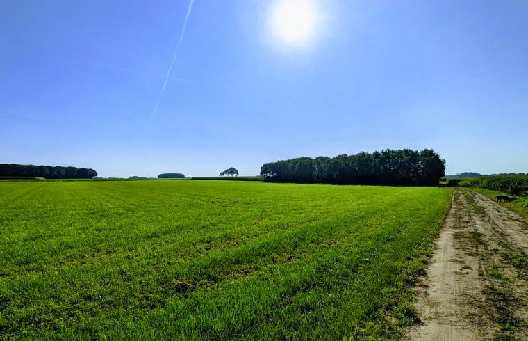 Unterkunft 522925 - Ferienhaus Twente - Vakantiehuis in Markelo (Hof van Twente)