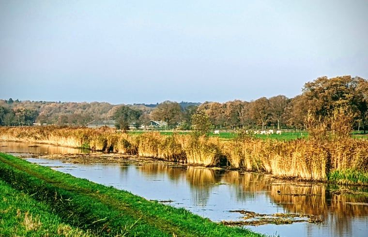 Unterkunft 522925 - Ferienhaus Twente - Vakantiehuis in Markelo (Hof van Twente)