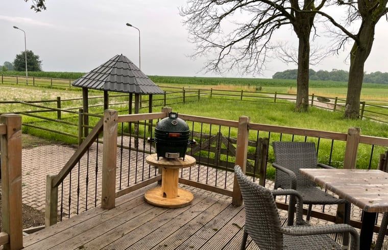 Zicht op de groene omgeving vanaf het terras van Vakantiehuisje in Markelo, Twente, Overijssel met comfortabele zitplaatsen.