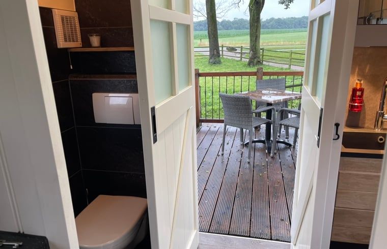 Moderne badkamer in Vakantiehuisje in Markelo, Twente, Overijssel met toilet en toegang tot het terras.