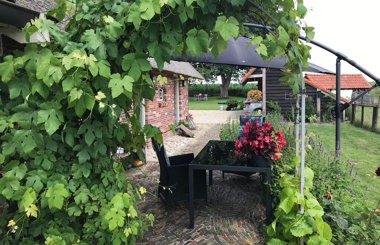 Geniet van de groene veranda bij Vakantiehuisje in Markelo, gelegen in het pittoreske Twente, Overijssel.
