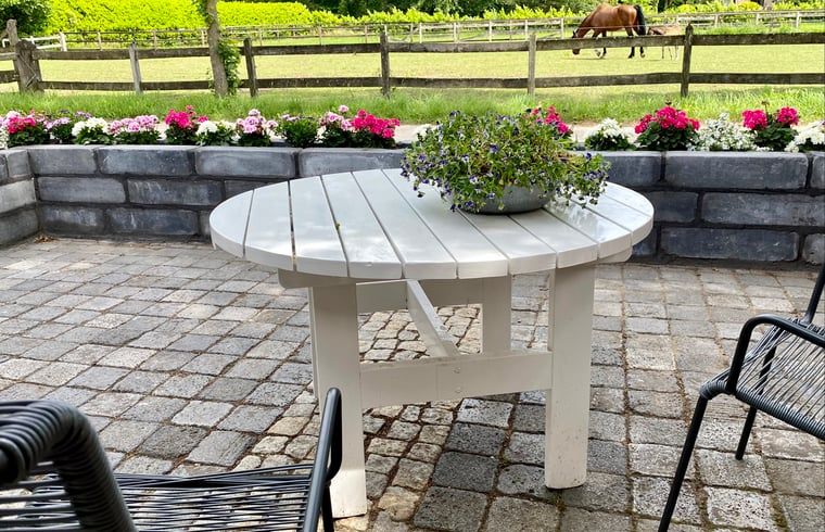 Doorkijkje van badkamer naar woonkamer in Vakantiehuis in Usselo, Twente, met moderne inrichting.