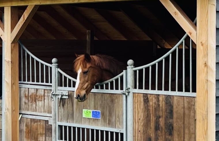 Douche met glazen wand in Vakantiehuis in Usselo, Twente, voor een verfrissende start van de dag.