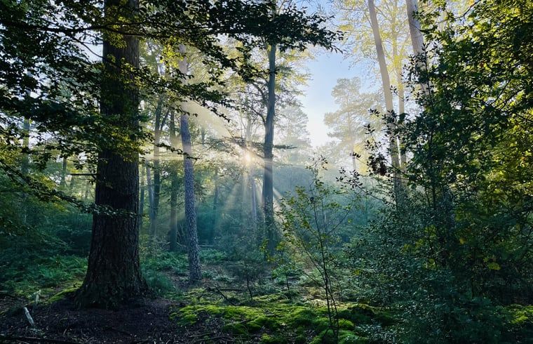 Badkamer en slaapkamer in Vakantiehuis in Usselo, Twente, met moderne en comfortabele inrichting.