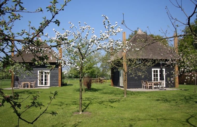 Bluehende Baeume im Ferienhaus in Enter, Twente, Overijssel, mit einladender Terrasse und gruener Umgebung.