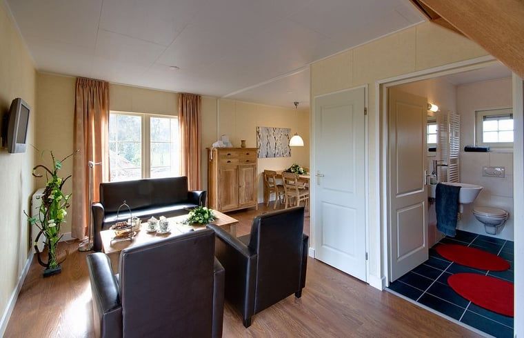 Gemuetliches Wohnzimmer im Ferienhaus in Enter, Twente, Overijssel, mit bequemer Sitz- und Essecke.