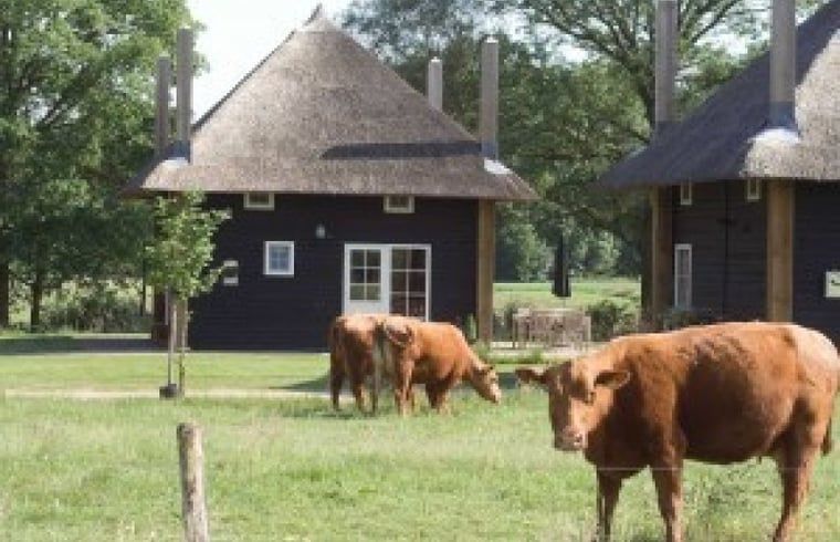 Verblijf 523108 - Vakantiewoning Twente - Vakantiehuisje in Enter