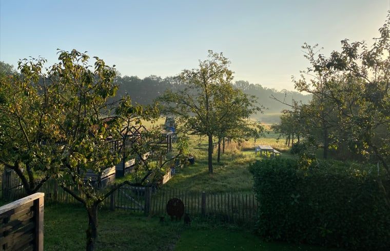 Guest house 523307 - Holiday property Twente - Vakantiehuis in Albergen