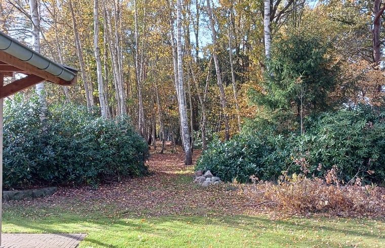 Geniet van de natuurlijke omgeving bij Vakantiehuisje in Albergen, gelegen in de serene bossen van Twente, Overijssel.
