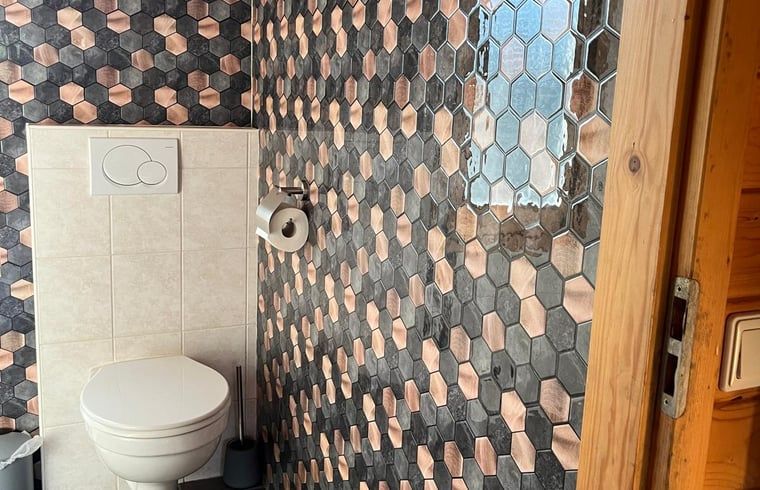 Verblijf 523309 - Vakantiewoning Twente - Vakantiehuisje in Albergen