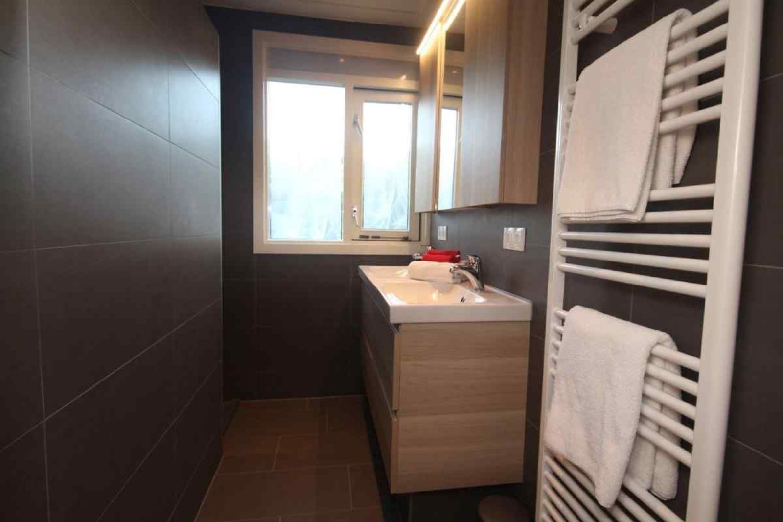 Natuerliche Umgebung mit Teich im Ferienhaus DG630 in Denekamp, Twente.