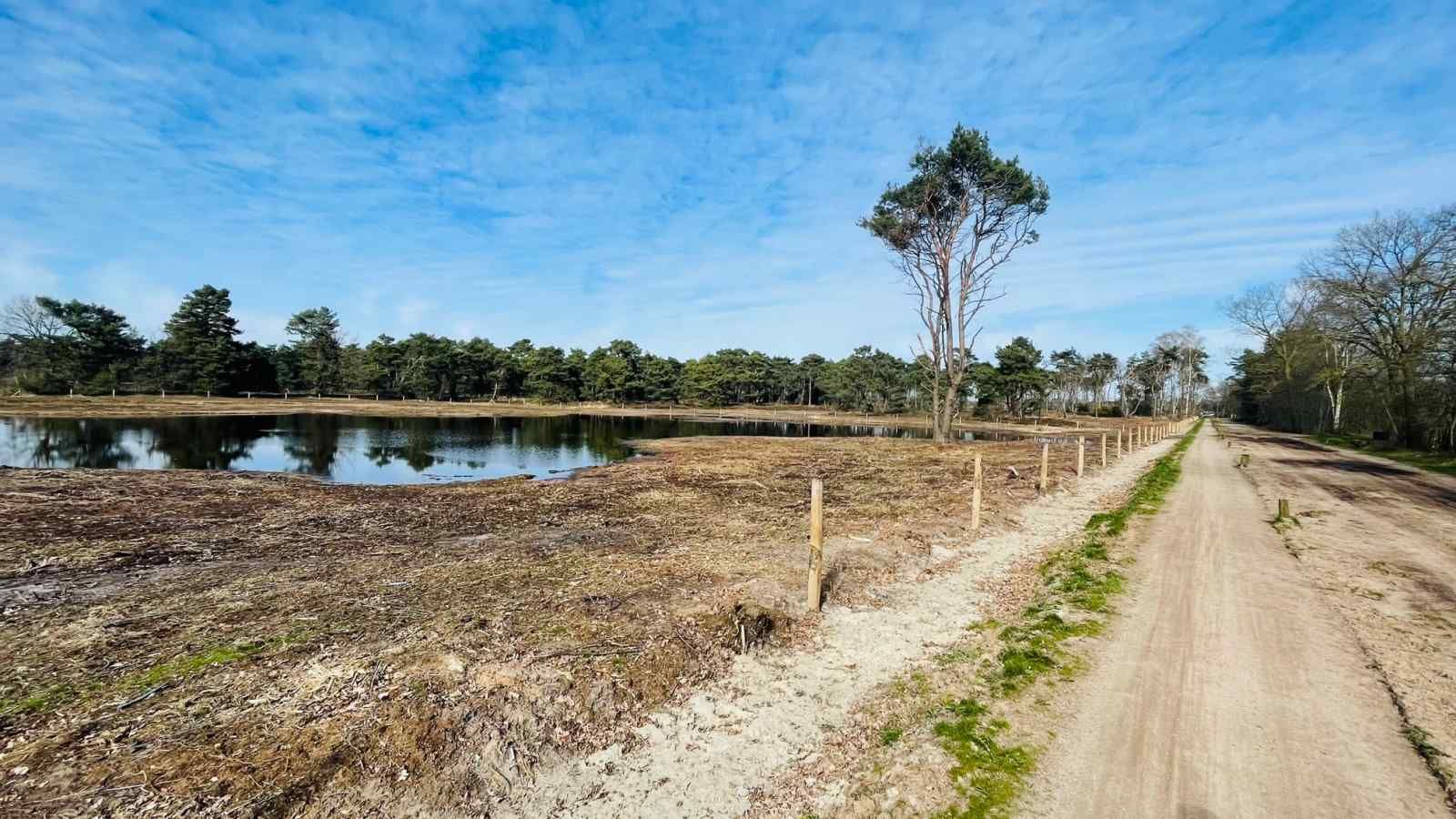 Schlafzimmer mit grossen Fenstern im Ferienhaus DG630 in Denekamp, Twente.