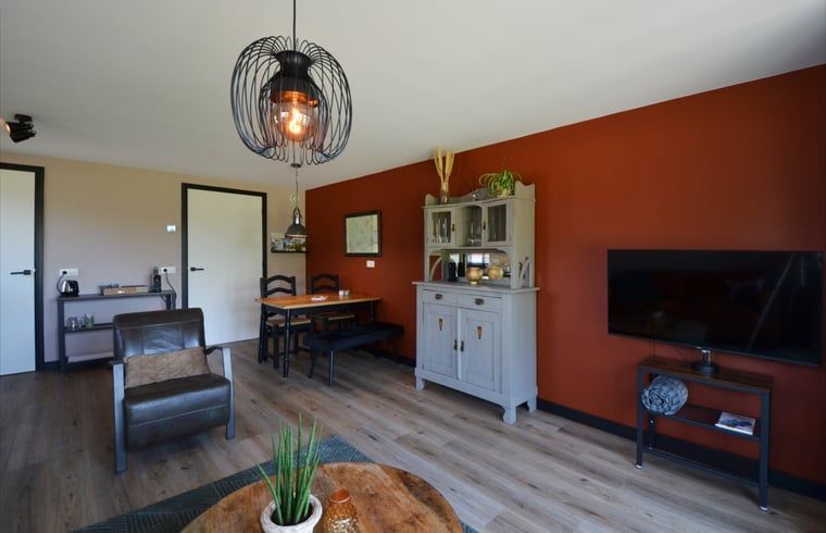 Vakantiehuis in Denekamp, sfeervolle woonkamer met decor in de vakantiewoning in Twente, Overijssel.