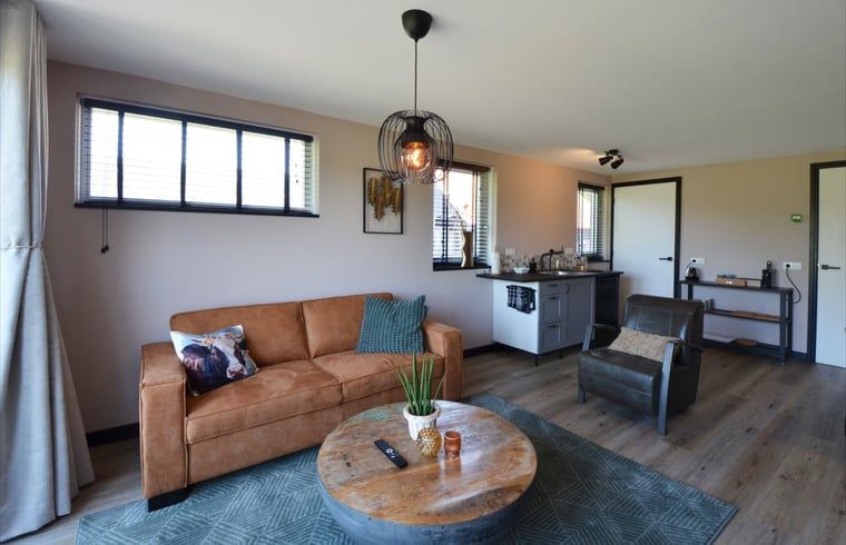 Vakantiehuis in Denekamp, stijlvol toilet in de vakantiewoning in Twente, Overijssel.