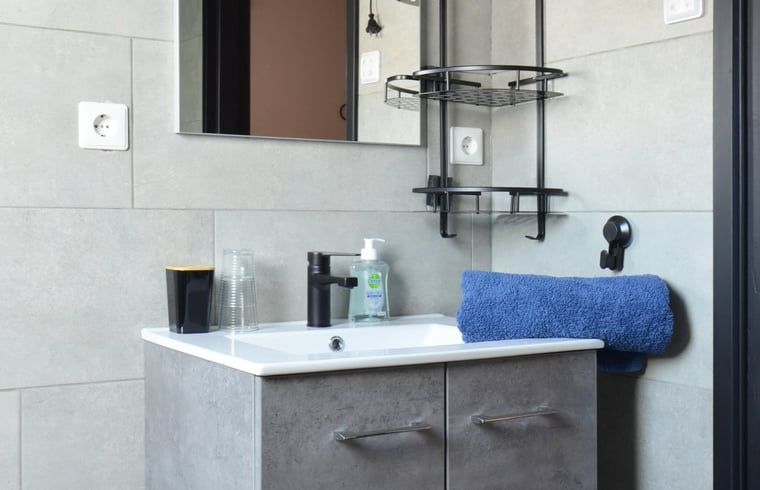 Vakantiehuis in Denekamp, slaapkamer met badkamer en suite in de vakantiewoning in Twente, Overijssel.