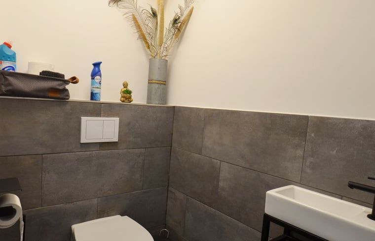 Vakantiehuis in Denekamp, luxe douche in de badkamer van de vakantiewoning in Twente, Overijssel.