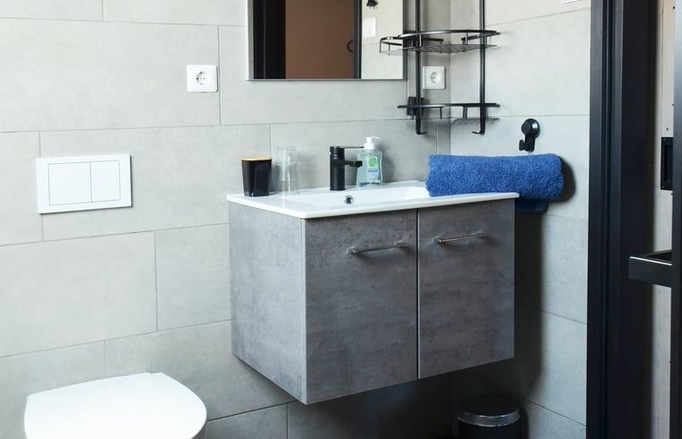 Vakantiehuis in Denekamp, gezellig terras met bloemen bij de vakantiewoning in Twente, Overijssel.