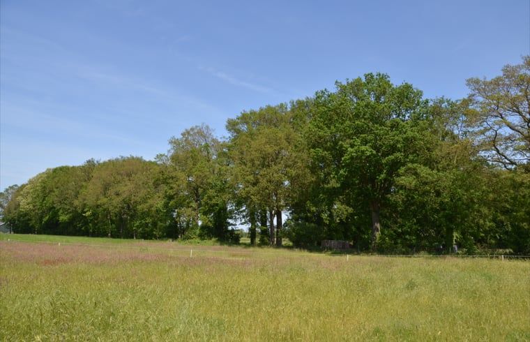 Vakantiehuis in Denekamp, terras met zitgelegenheid en uitzicht in Twente, Overijssel.