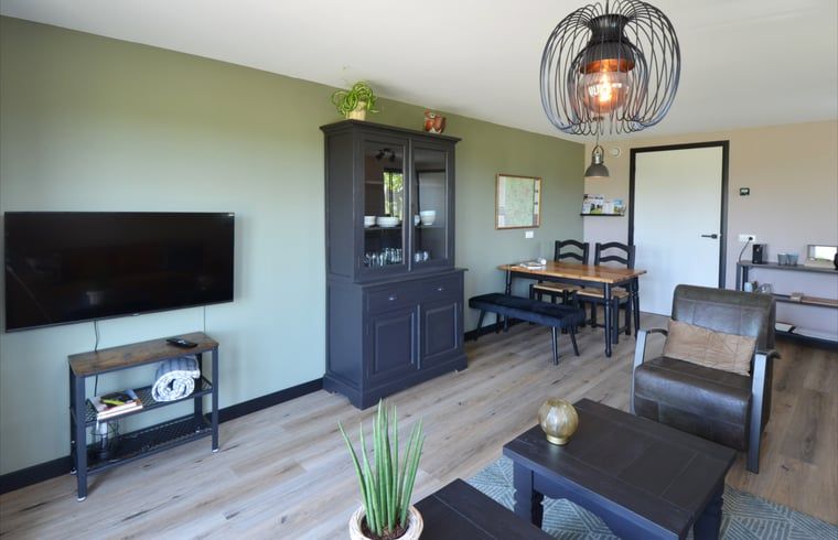 Stylish living room in Holiday home in Denekamp, Twente, with modern decor in Overijssel.