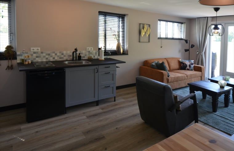 Cozy sitting area in Holiday home in Denekamp, Twente, with open kitchen in Overijssel.