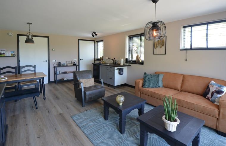 Modern living room with open kitchen in Holiday home in Denekamp, Twente, Overijssel.